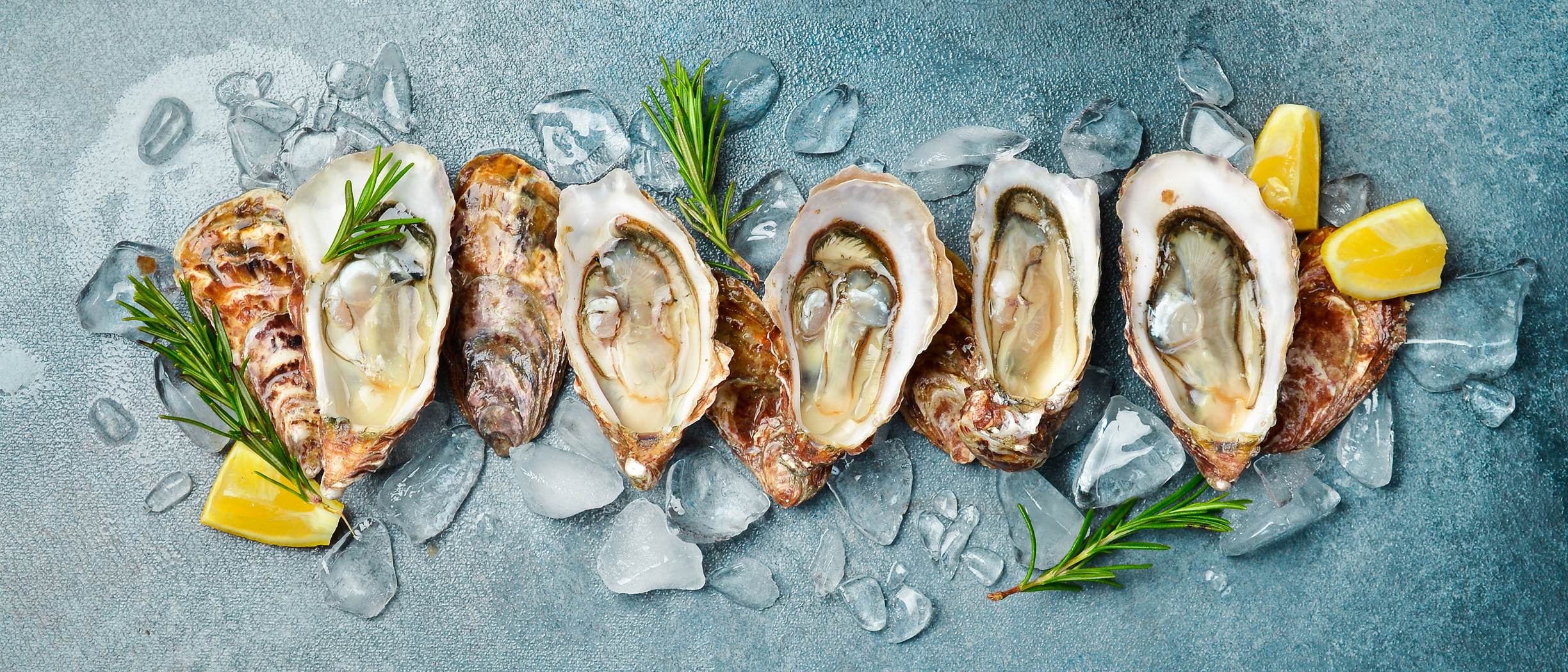 A lovely serving of oysters on a light grey tray enhance with shells, rosemary sticks and lemon sectors.