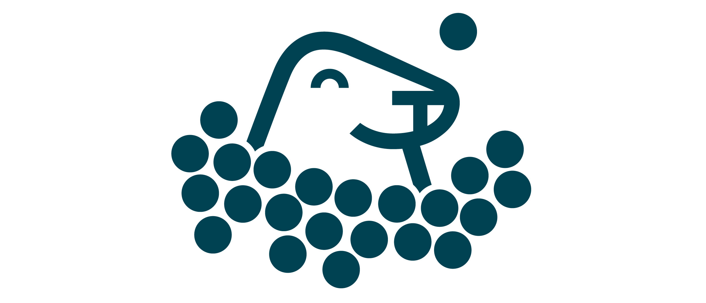 Graarinen Harri Hylje pallomeressä