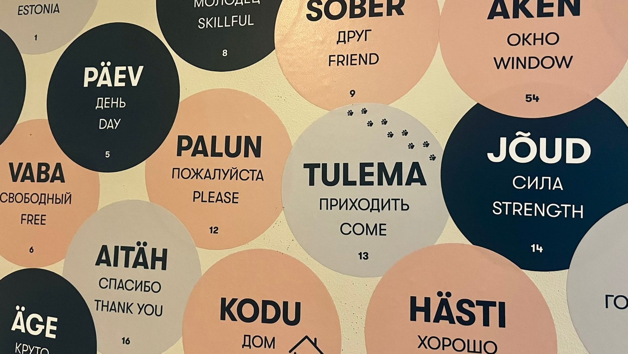 Sõnamängu sõnad seina peal