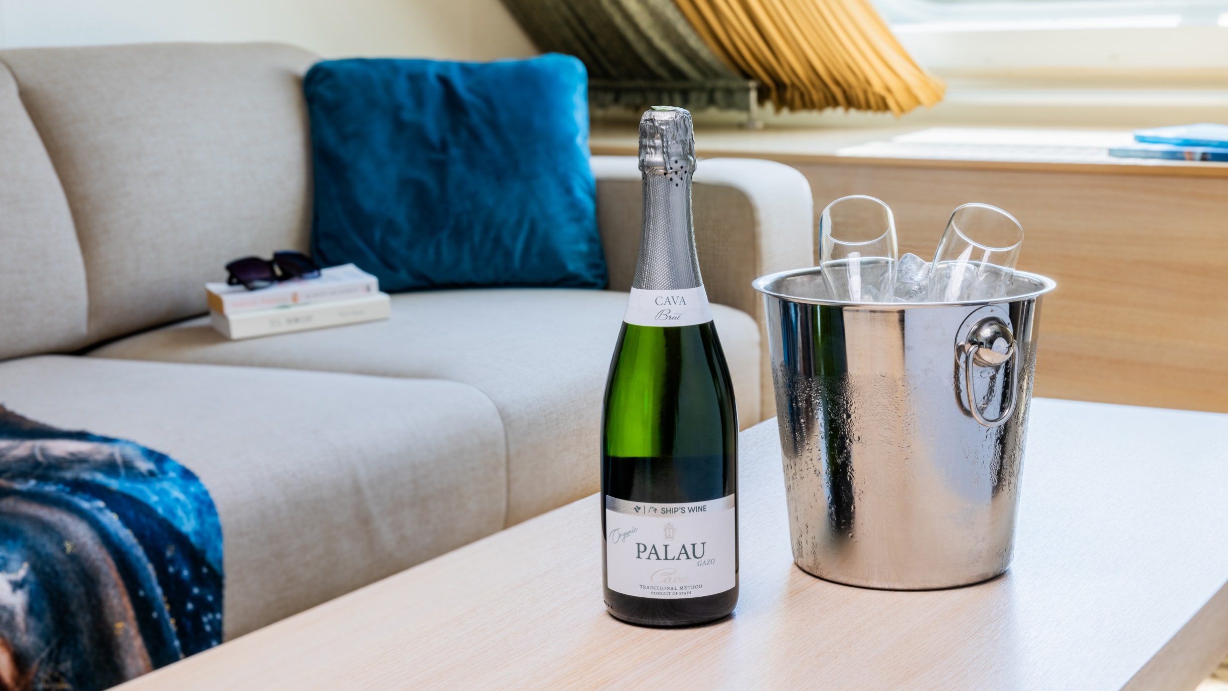 Игристое вино Palau Brut Organic Cava, 750 мл, 11,5%