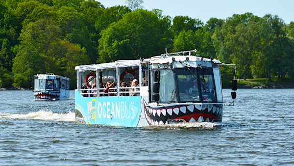 Ocean Bus